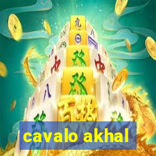 cavalo akhal-teke a venda no brasil cavalo akhal teke no